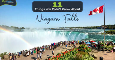 11 Things You Didnt Know About Niagara Falls!