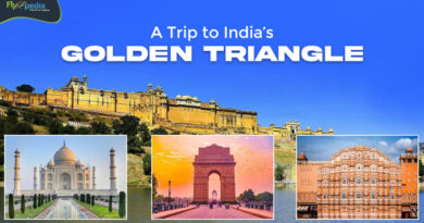 A Trip to India’s Golden Triangle