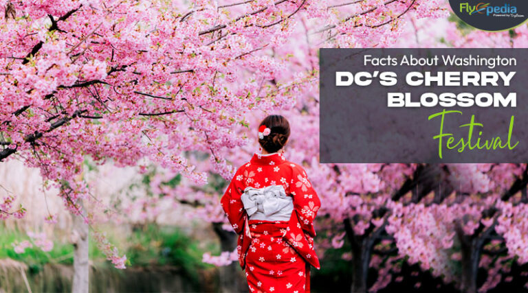 Facts About Washington Dcs Cherry Blossom Festival 2192