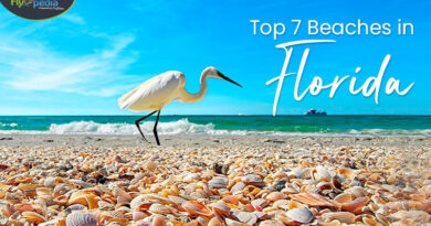 Top 7 beaches in Florida