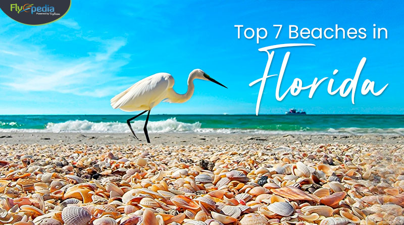 Top 7 beaches in Florida