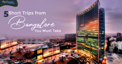 5 Short Trips from Bangalore You Must Take