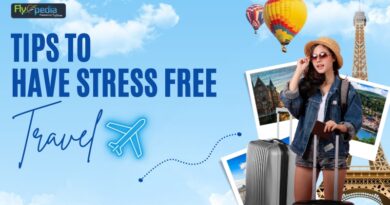 Tips To Have Stress Free Travel