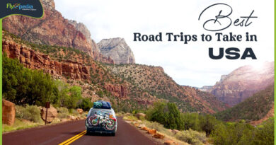 Best Road Trips to Take in USA