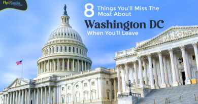 8 Things You ll Miss The Most About Washington DC When Youll Leave