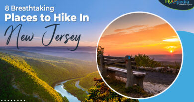 8 Breathtaking Places to Hike In New Jersey