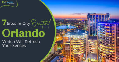 7 Sites In City Beautiful Orlando Which Will Refresh Your Senses (1)