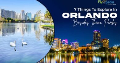 7 Things To Explore In Orlando Besides Theme Parks