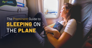 The Preminent Guide to sleeping on the plane flyopedia com