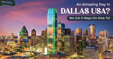 An Amazing Day In Dallas USA We Got 5 Ways On How To