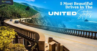 5 Most Beautiful Drives In The United States