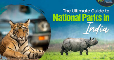 The Ultimate Guide to National Parks in India