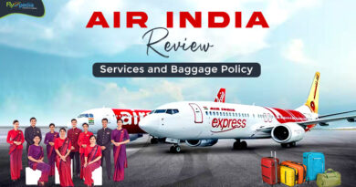 Air India Review Services and Baggage Policy