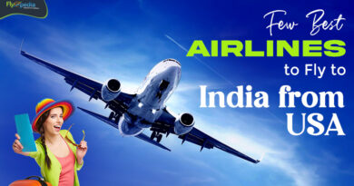 Few Best Airlines to Fly to India from USA