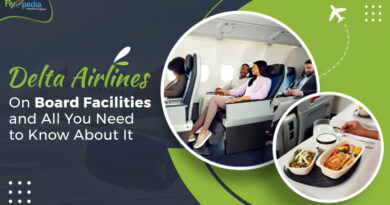 Delta Airlines On Board Facilities and All You Need to Know About It