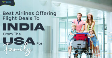 Best Airlines Offering Flight Deals To India From The USA For Family