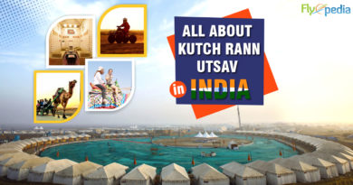 Kutch Rann Utsav in Gujarat