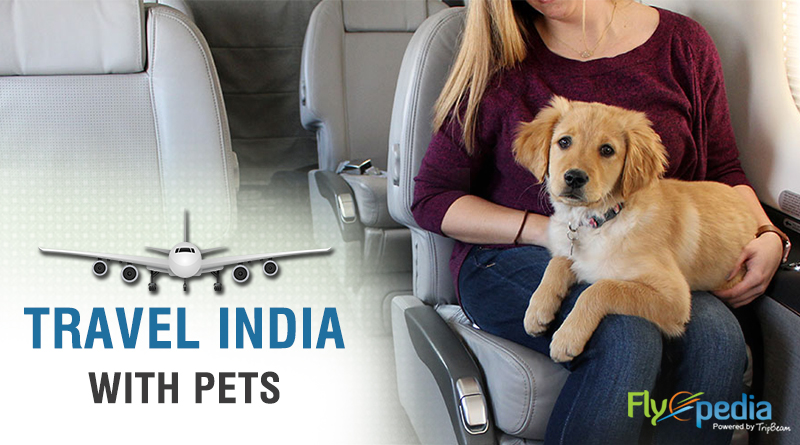 pet travel to india