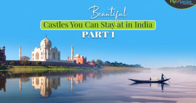 Beautiful Castles You Can Stay at in India Part 1