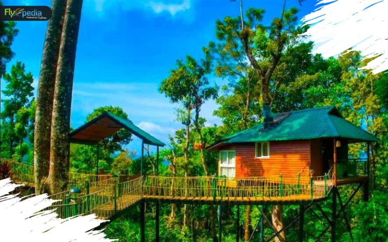 Ultimate Tree House Resorts in India Surrounded by Nature