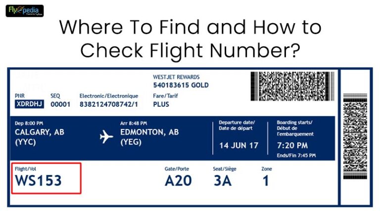 where-to-find-and-how-to-check-flight-number