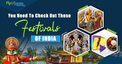 You Need To Check Out These Festivals Of India