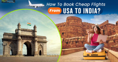How To Book Cheap Flights From USA To India