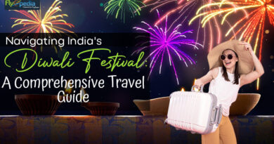 Navigating India's Diwali Festival A Comprehensive Travel Guide