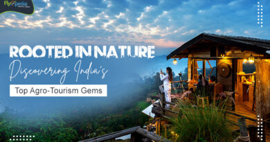 Rooted in Nature Discovering India's Top Agro Tourism Gems