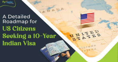 A Detailed Roadmap for U S Citizens Seeking a 10 Year Indian Visa