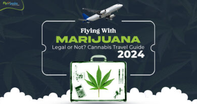 Flying With Marijuana Legal or Not Cannabis Travel Guide 2024 01