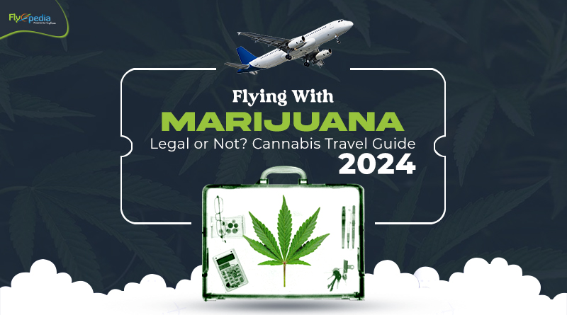 Flying With Marijuana Legal or Not Cannabis Travel Guide 2024 01
