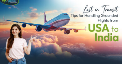 Lost in Transit Tips for Handling Grounded Flights from USA to India