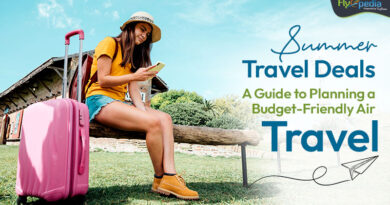 Summer Travel Deals A Guide to Planning a Budget Friendly Air Travel