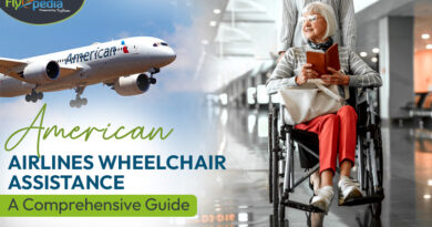 American Airlines Wheelchair Assistance A Comprehensive Guide