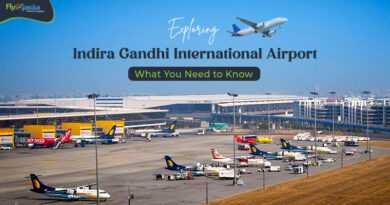 Exploring Indira Gandhi International Airport What You Need to Know