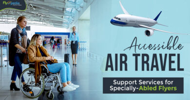 Accessible Air Travel Support Services for Specially Abled Flyers