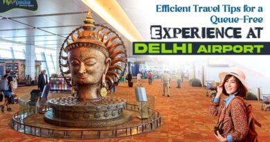 Efficient Travel Tips for a Queue Free Experience at Delhi Airport