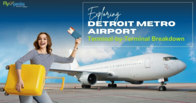 Exploring Detroit Metro Airport Terminal by Terminal Breakdown