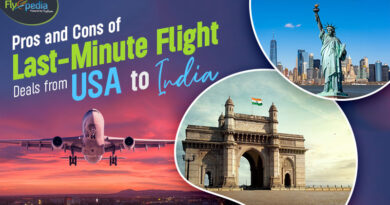 Pros and Cons of Last Minute Flight Deals from USA to India