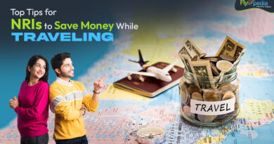 Top Tips for NRIs to Save Money While Traveling