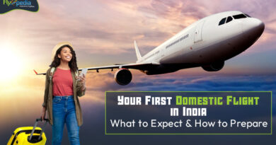 Your First Domestic Flight in India What to Expect and How to Prepare