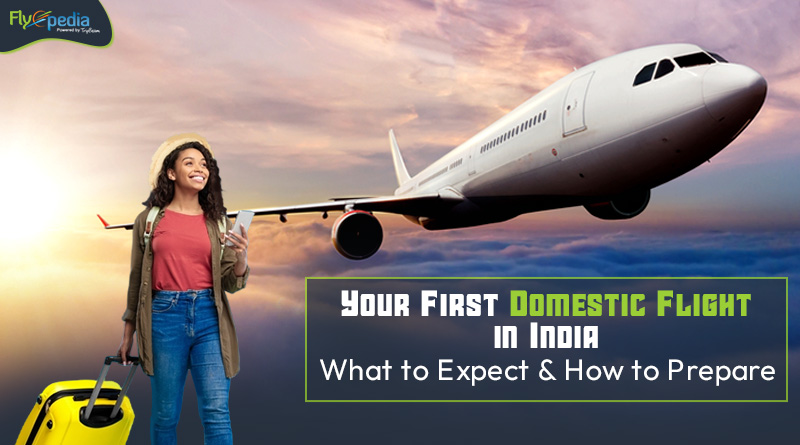 Your First Domestic Flight in India What to Expect and How to Prepare