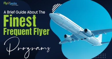 A Brief Guide About The Finest Frequent Flyer Programs