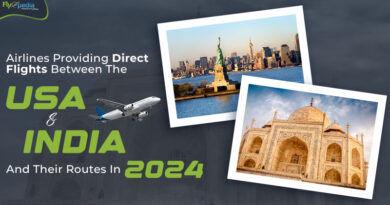 Airlines Providing Direct Flights Between The USA And India And Their Routes In 2024