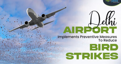 Delhi Airport Implements Preventive Measures To Reduce Bird Strikes