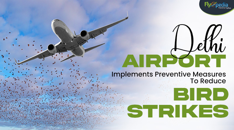 Delhi Airport Implements Preventive Measures To Reduce Bird Strikes