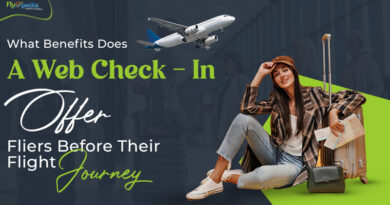 What Benefits Does A Web Check In Offer Fliers Before Their Flight Journey