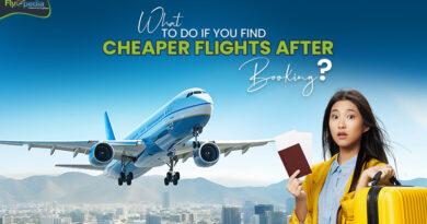 What to Do If You Find Cheaper Flights After Booking