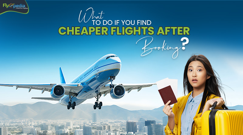 What to Do If You Find Cheaper Flights After Booking